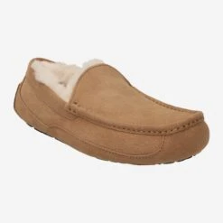 UGG Art.  1101110-CHE ASCOT Braun